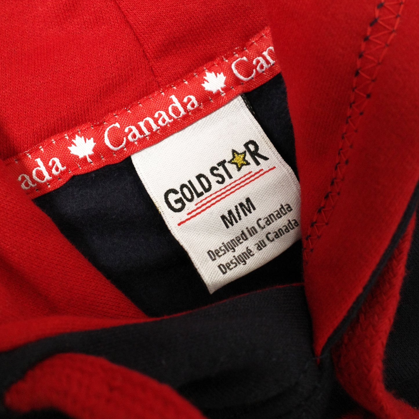 Sweat à capuche Goldstar - Poids lourd